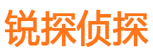 滨江侦探公司